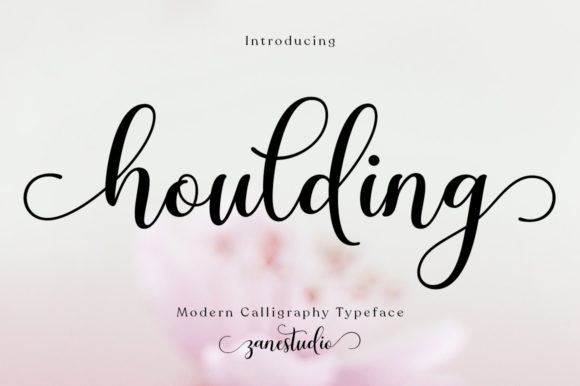 Houlding: A Script Font for Strategic Design and Creative Expression