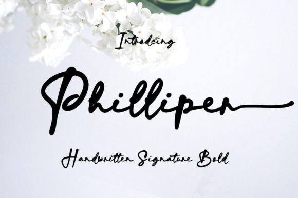 Philliper: A Bold Script Font That Elevates Your Design
